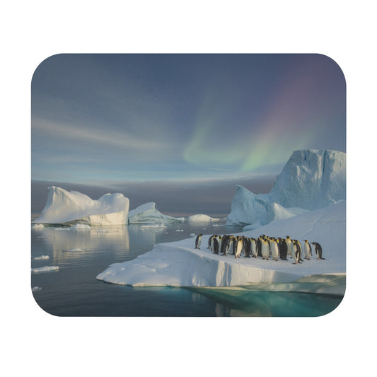 Tapis de souris 22x18 cm – Manchots sur la Banquise & Aurores Boréales – Paysage Polaire Apaisant – Beauté de l’Arctique