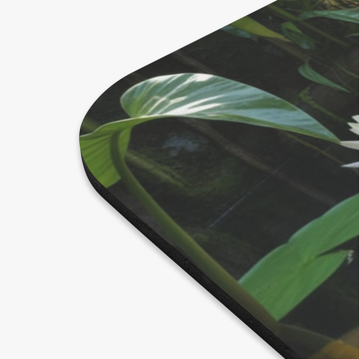 Tapis de souris 22x18 cm – Grenouille Tropicale & Nénuphars – Étang Zen & Fleurs de Lotus – Nature Exotique