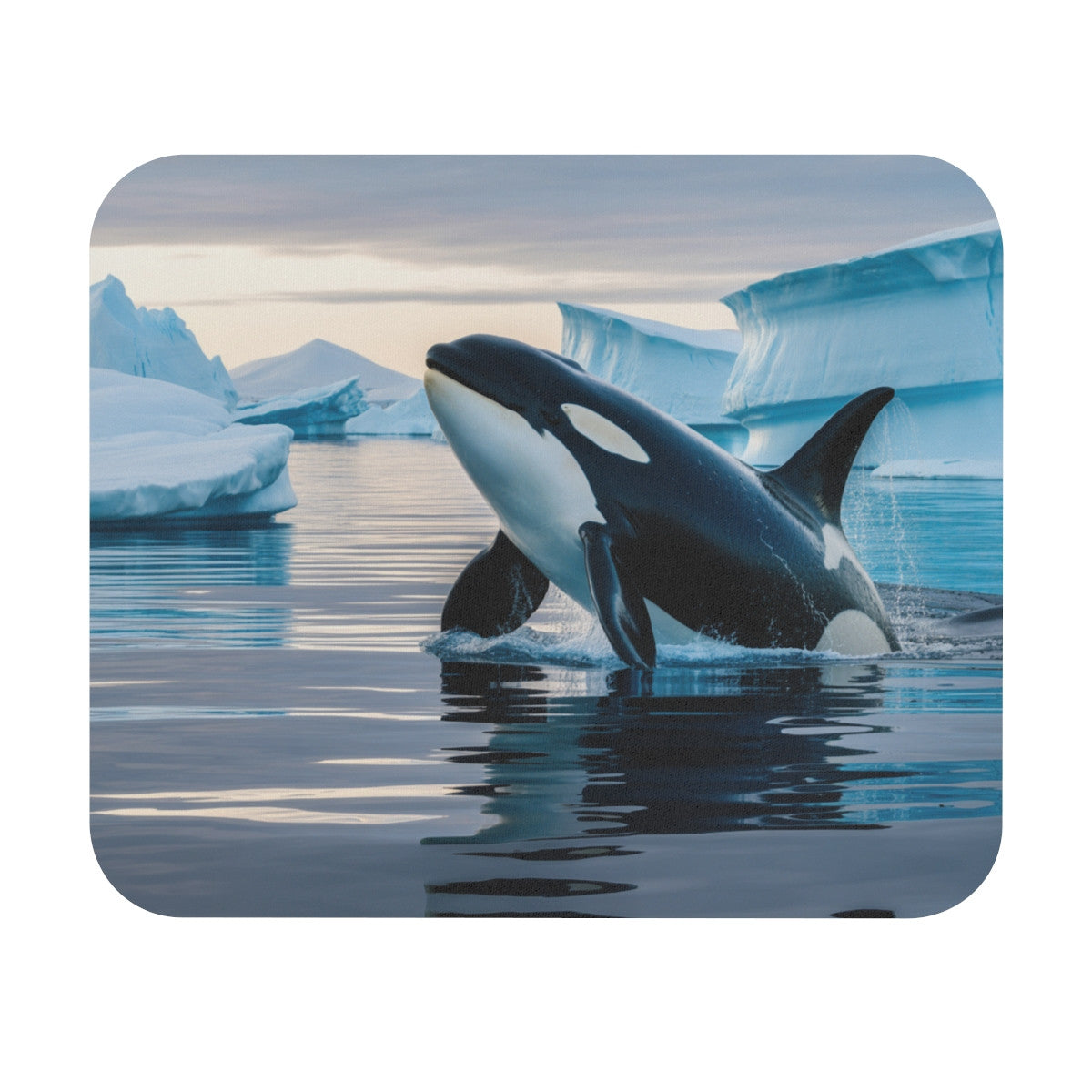 Tapis de souris 22x18 cm – Orque dans les Glaces – Océan Arctique & Liberté Marine