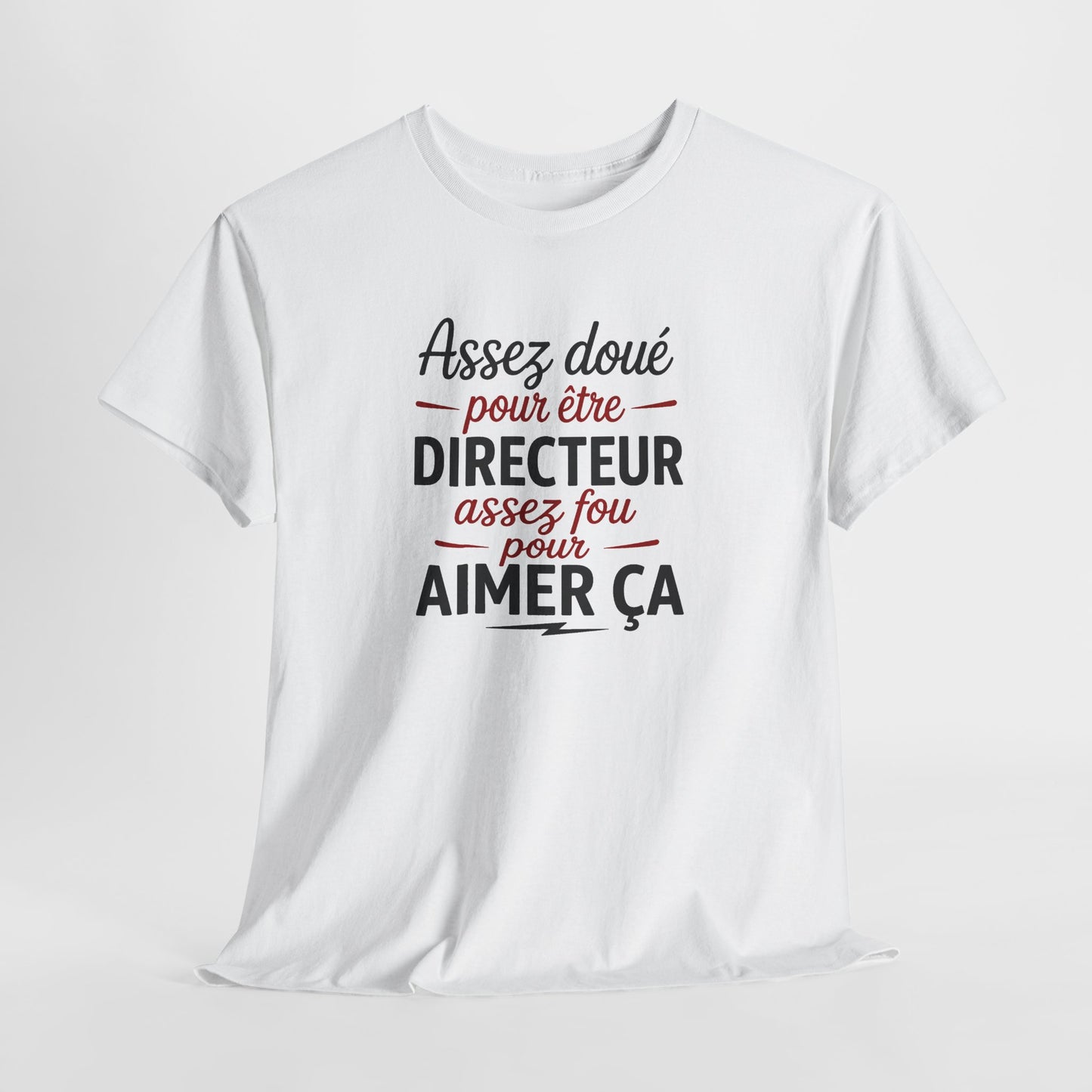Tee Shirt Directeur Homme – Humour Patron Chef – Cadeau Original Directeur
