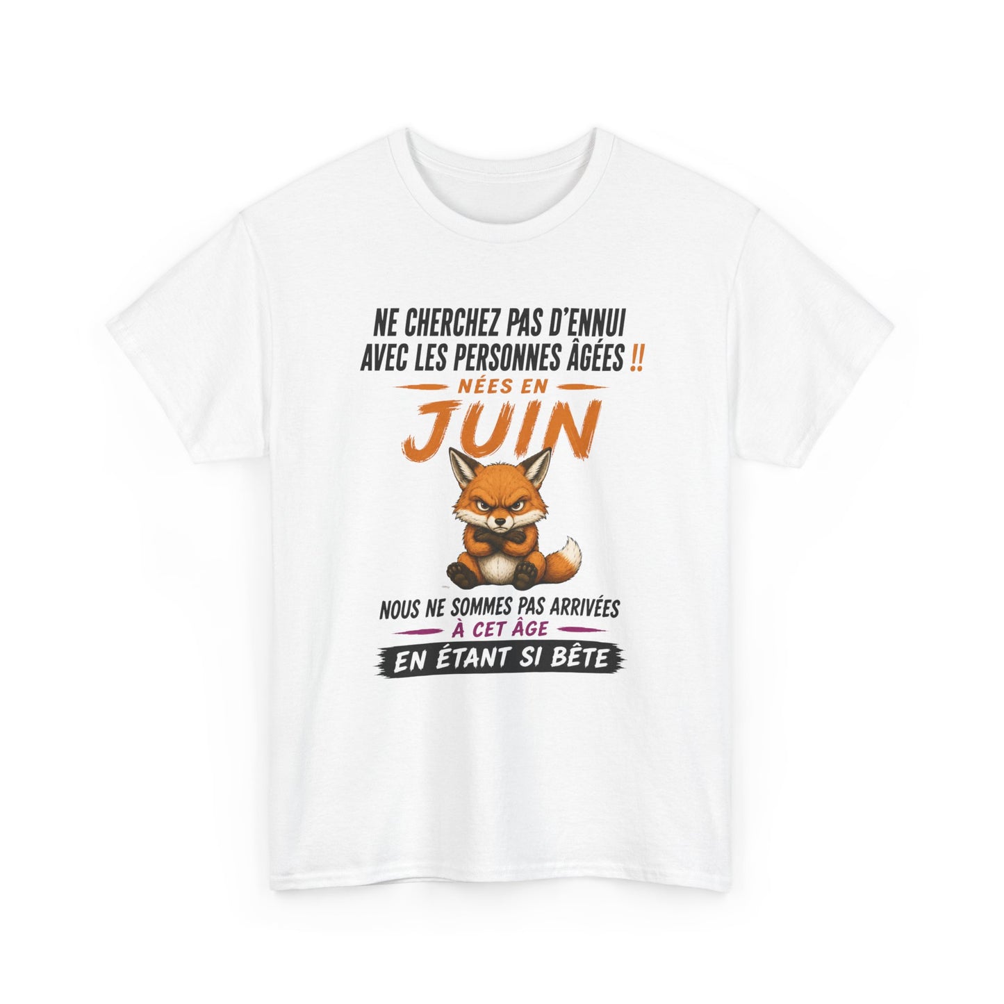 Tee-Shirt Retraité Juin Humour – Cadeau Anniversaire Senior Homme Femme – Renard Drôle Retraite