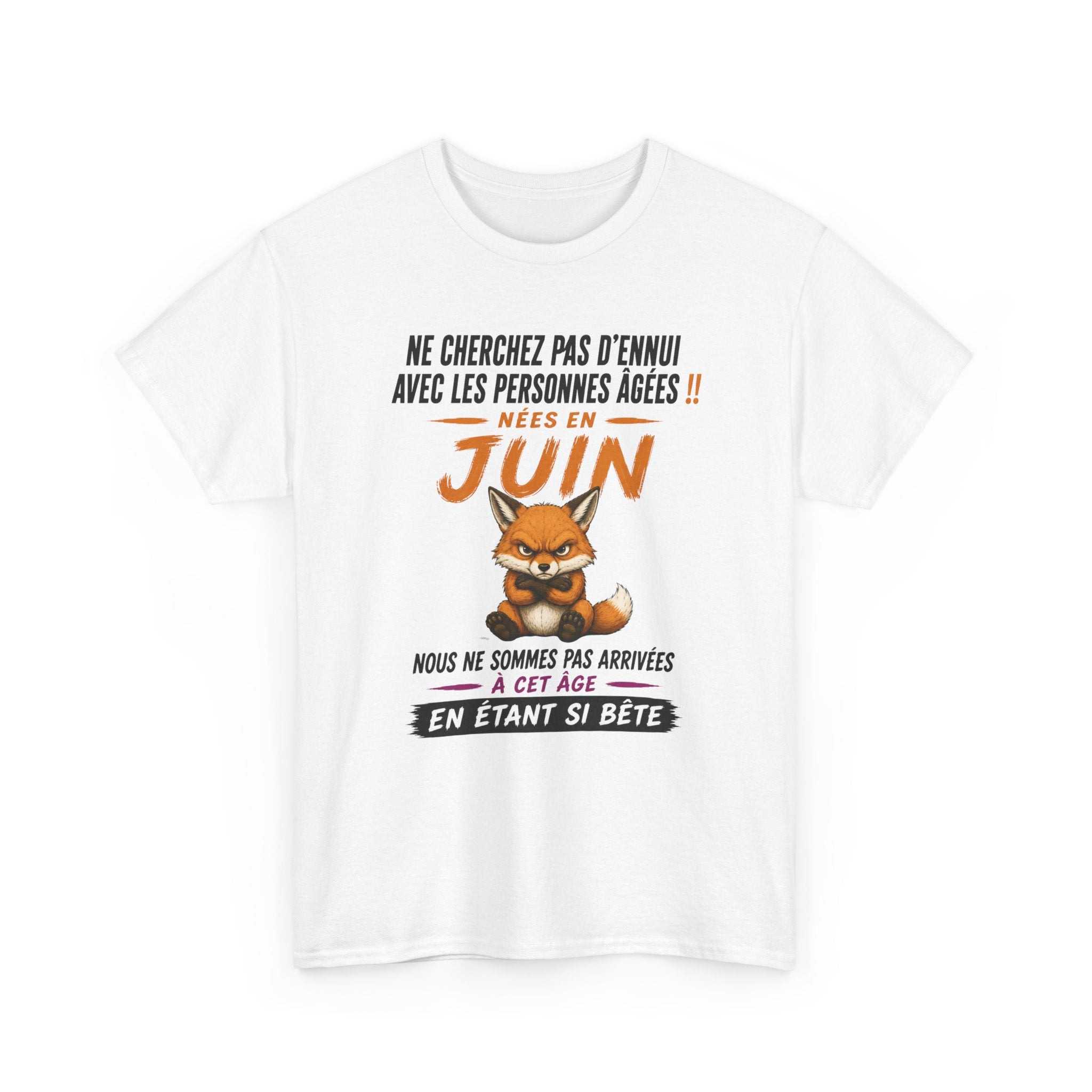 Tee-Shirt Retraité Juin Humour – Cadeau Anniversaire Senior Homme Femme – Renard Drôle Retraite