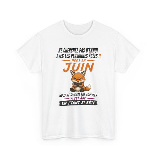 Tee-Shirt Retraité Juin Humour – Cadeau Anniversaire Senior Homme Femme – Renard Drôle Retraite