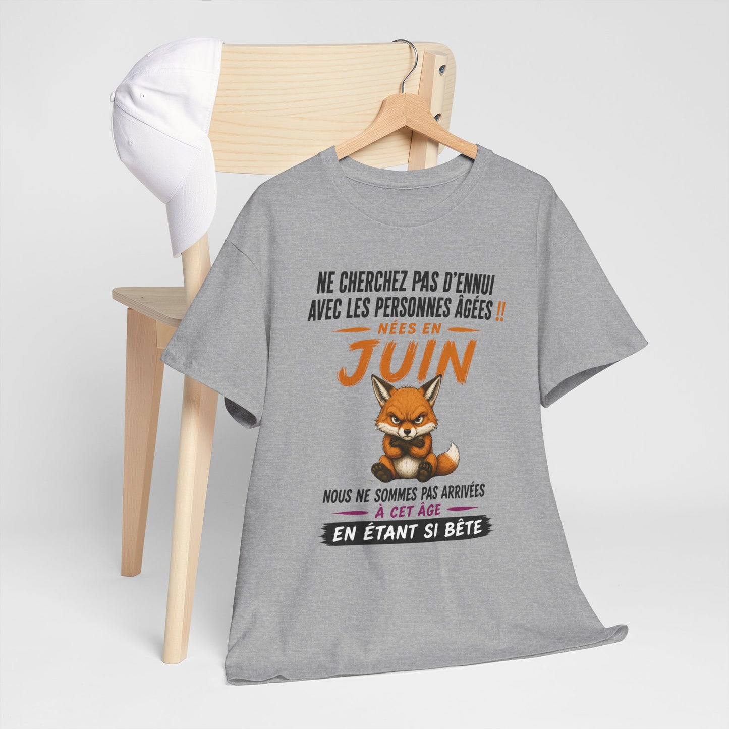 Tee-Shirt Retraité Juin Humour – Cadeau Anniversaire Senior Homme Femme – Renard Drôle Retraite