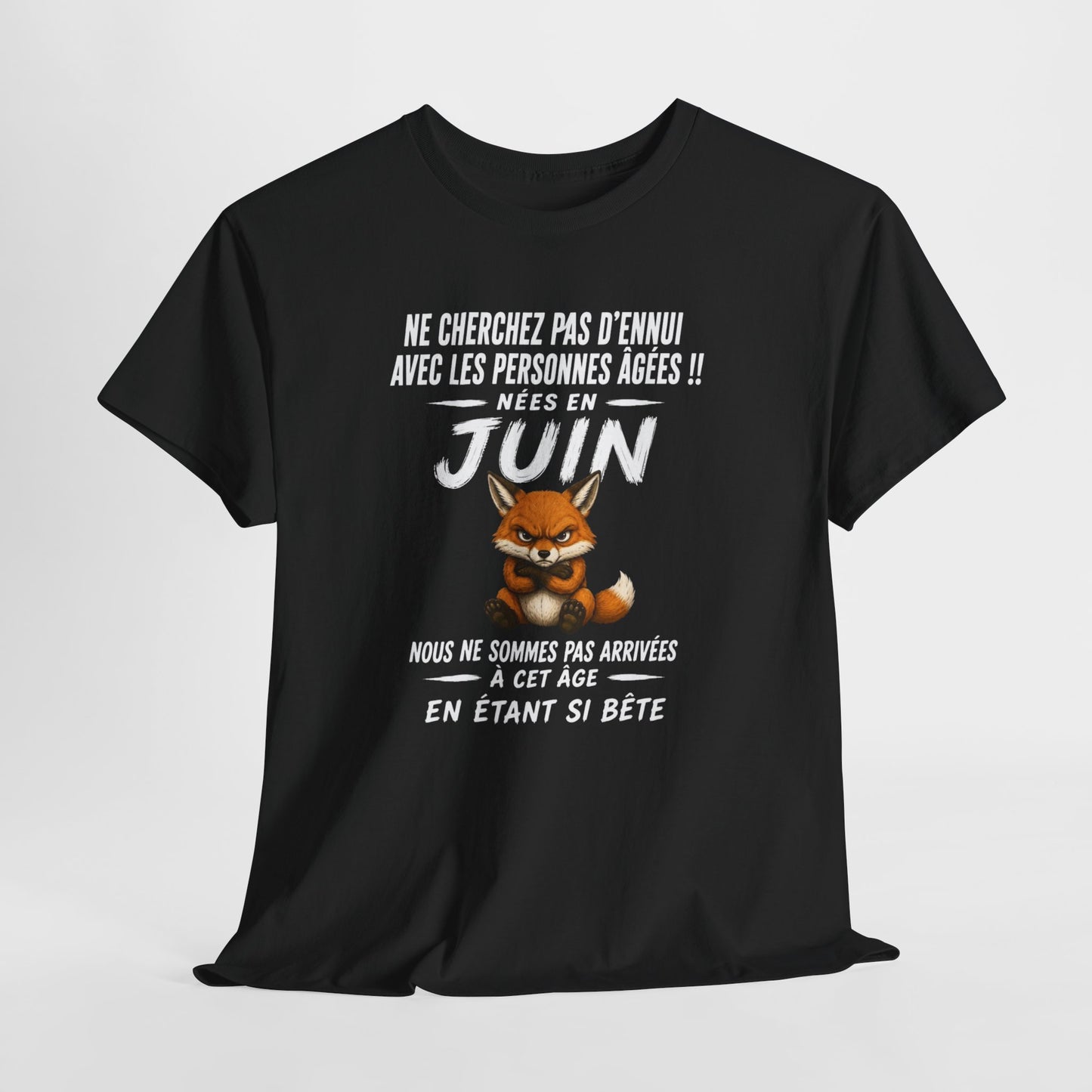 Tee-Shirt Retraité Juin Humour – Cadeau Anniversaire Senior Homme Femme – Renard Drôle Retraite