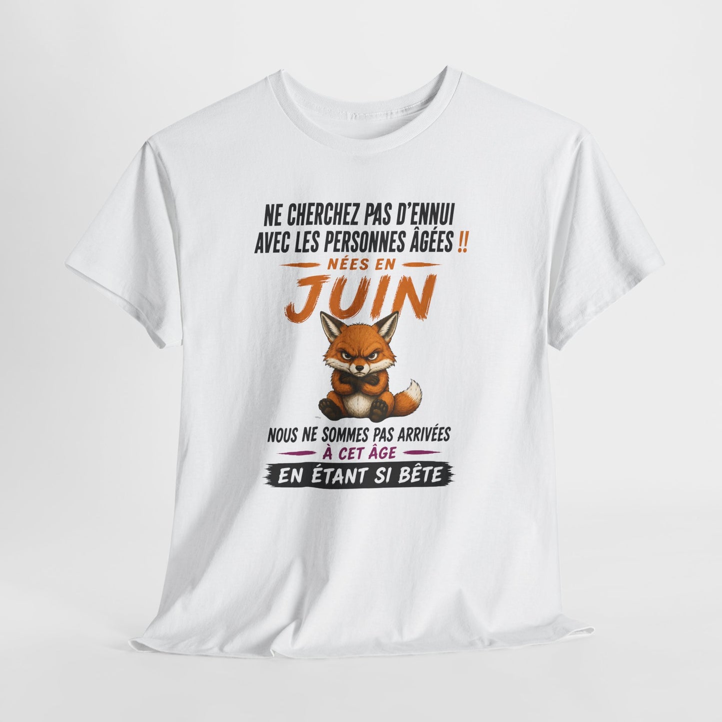 Tee-Shirt Retraité Juin Humour – Cadeau Anniversaire Senior Homme Femme – Renard Drôle Retraite