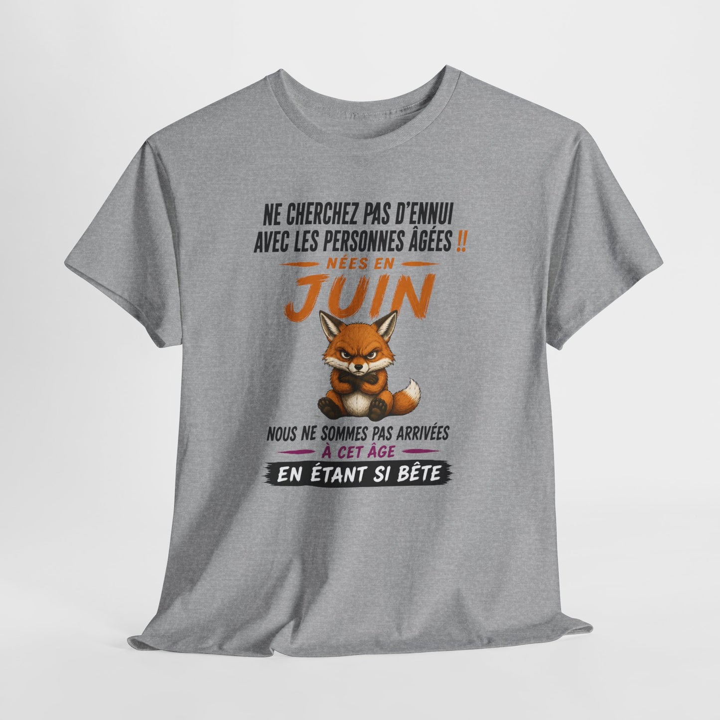 Tee-Shirt Retraité Juin Humour – Cadeau Anniversaire Senior Homme Femme – Renard Drôle Retraite