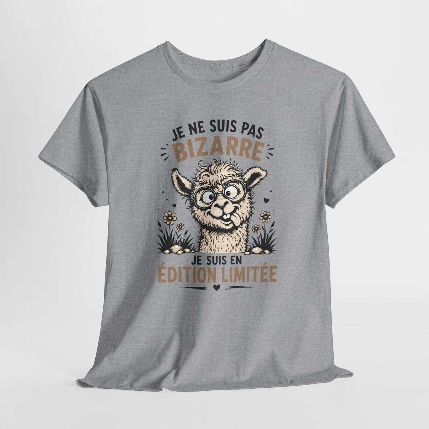 Tee-Shirt Humour Homme et Femme – Lama Drôle Original – Cadeau Amusant Anniversaire pour Amateur d’Animaux