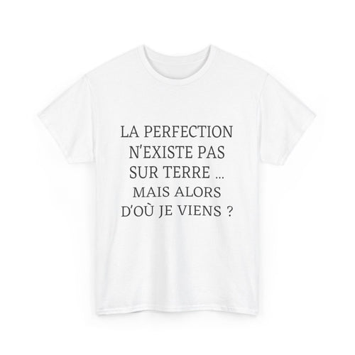 Tee shirt Unisex La perfection n'existe pas sur terre idée cadeau humour drôle amusant Homme/Femme