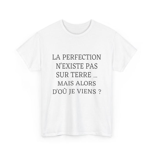 Tee shirt Unisex La perfection n'existe pas sur terre idée cadeau humour drôle amusant Homme/Femme