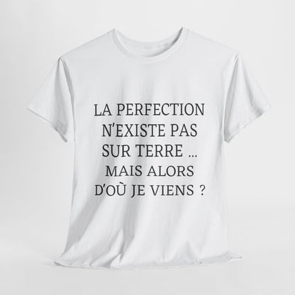 Tee shirt Unisex La perfection n'existe pas sur terre idée cadeau humour drôle amusant Homme/Femme