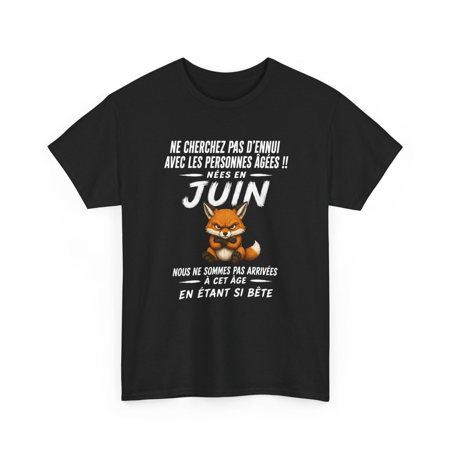 Tee-Shirt Retraité Juin Humour – Cadeau Anniversaire Senior Homme Femme – Renard Drôle Retraite