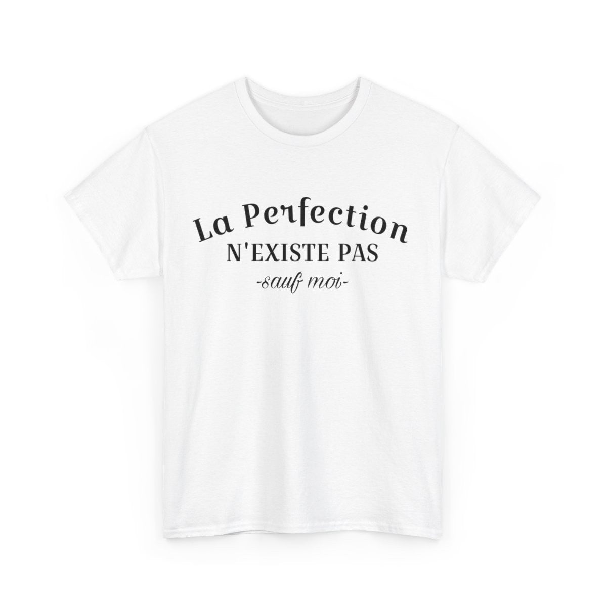 Tee Shirt La Perfection n'Existe Pas Sauf Moi idée cadeau humour drôle amusant pour homme et femme
