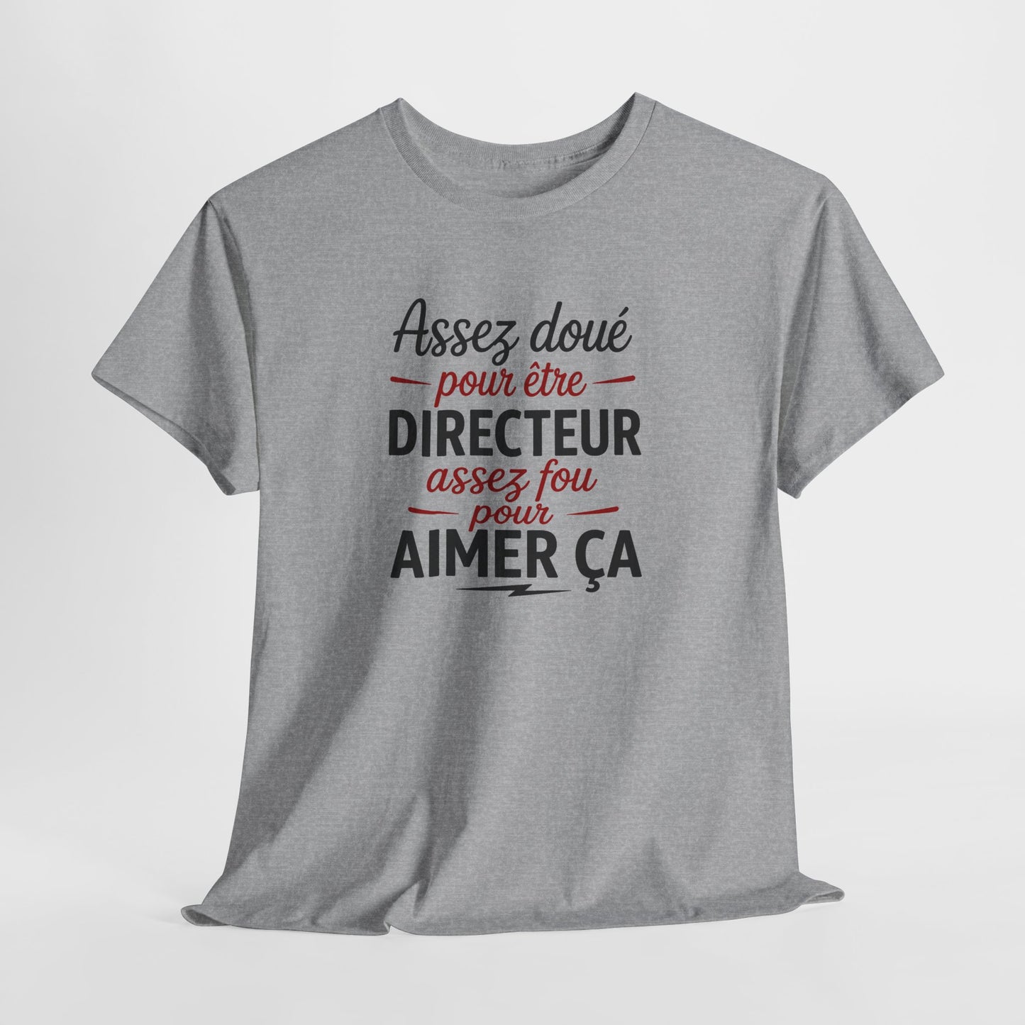 Tee Shirt Directeur Homme – Humour Patron Chef – Cadeau Original Directeur
