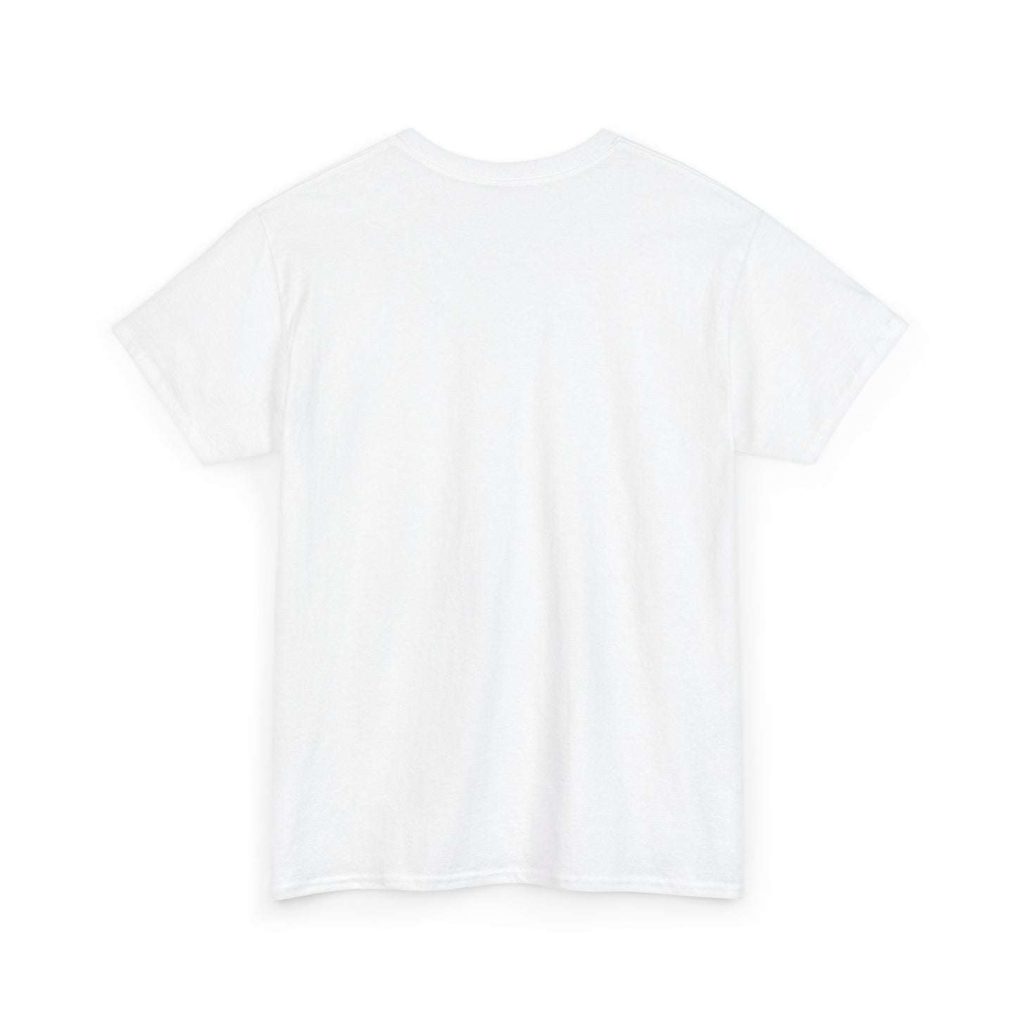 T-Shirt Humoristique Grenouille – Maintenant T’es Beau Tee Shirt Humour Cadeau Drôle Blague Amis Idée Cadeau Original
