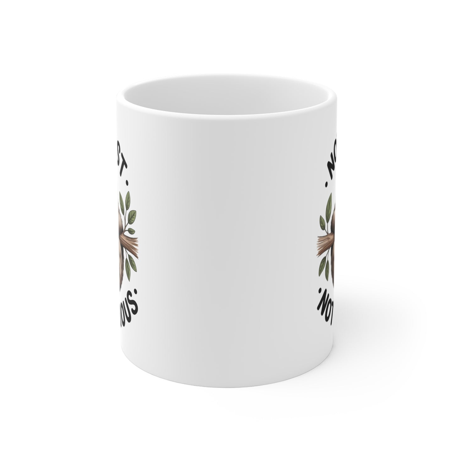 Tasse Paresseux Humour – Mug Not Fast Not Furious – Cadeau Animal Drôle 325ml