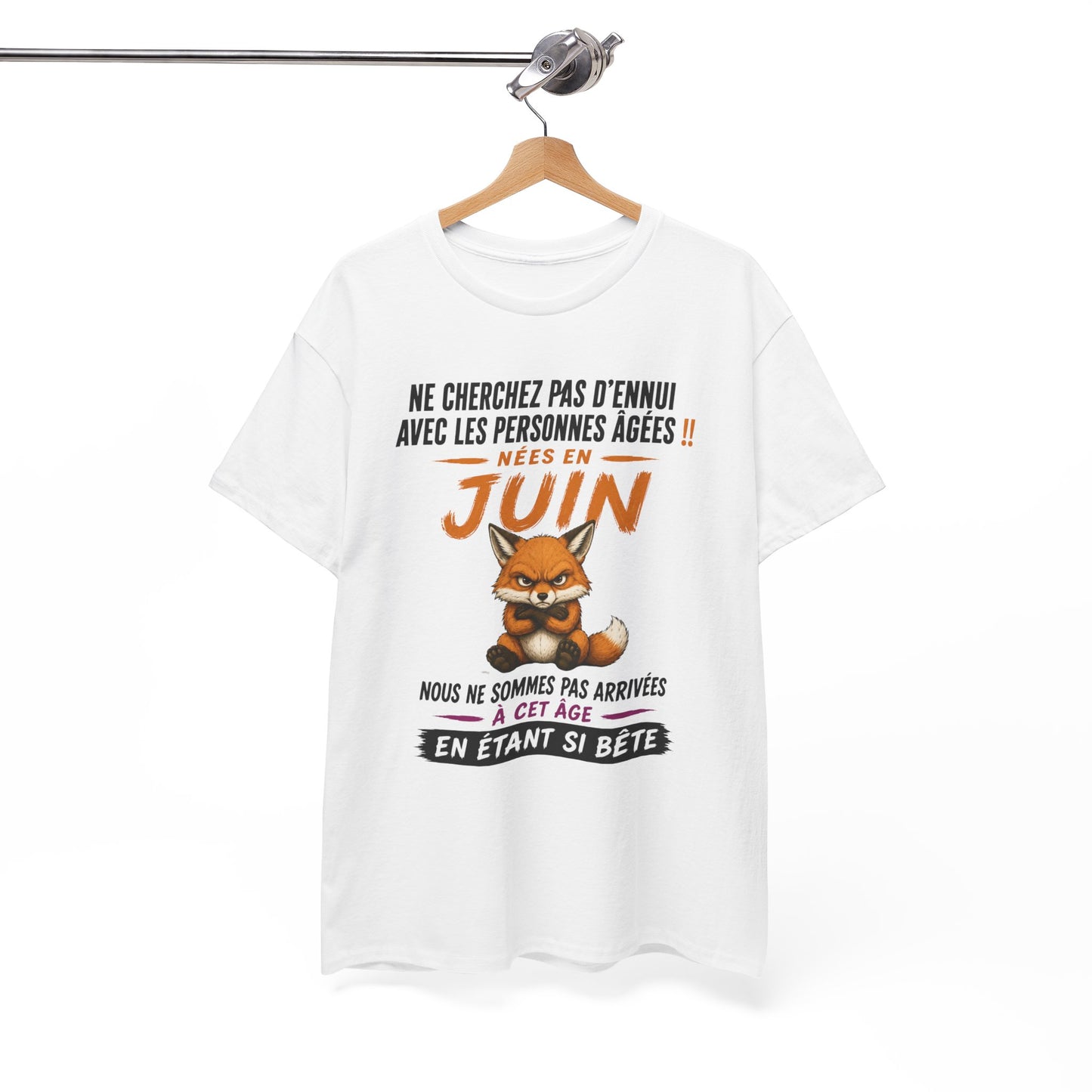 Tee-Shirt Retraité Juin Humour – Cadeau Anniversaire Senior Homme Femme – Renard Drôle Retraite