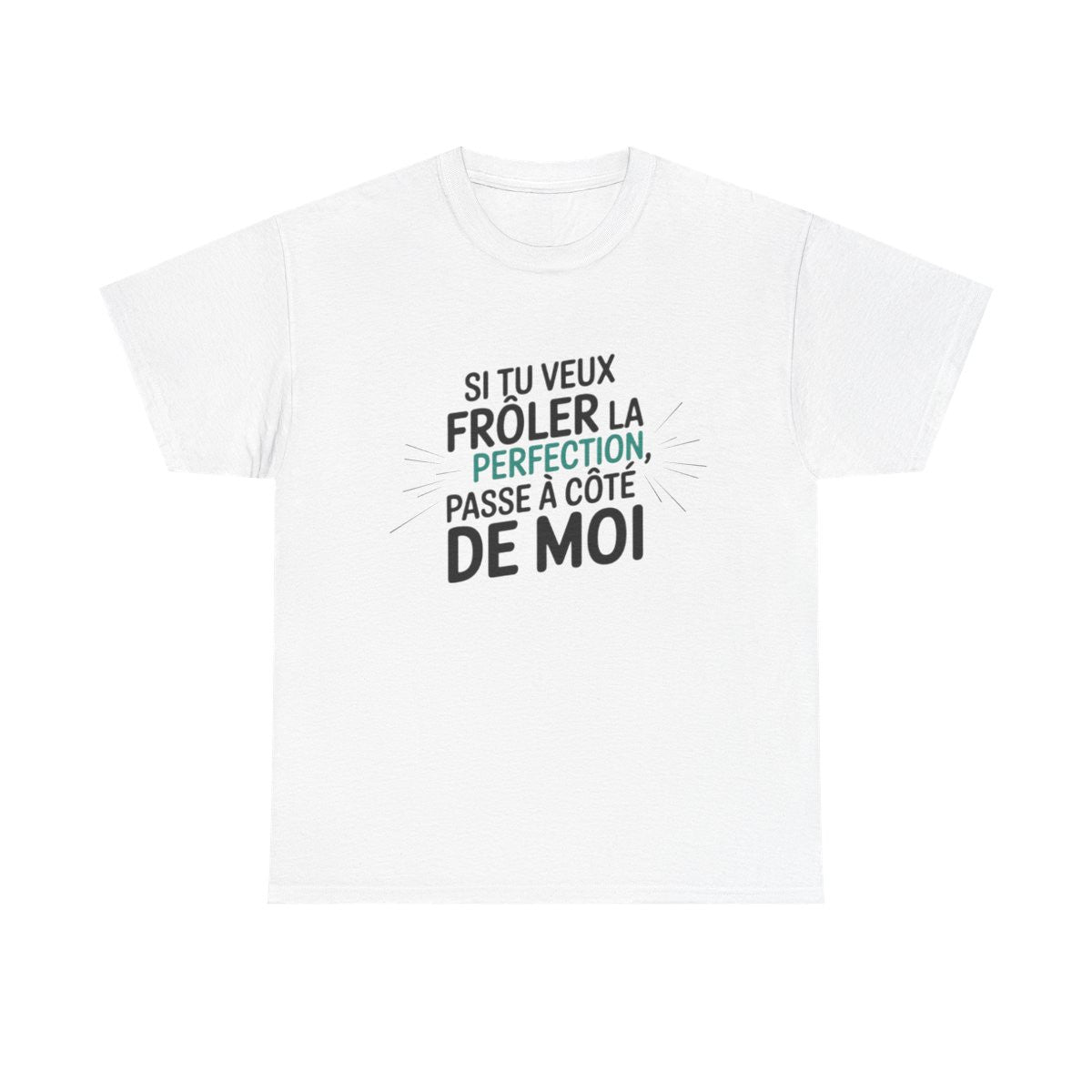 T shirt– "Si tu veux frôler la perfection, passe à côté de moi" – Blanc ou Gris – Tailles S à 3XL tee shirt humour