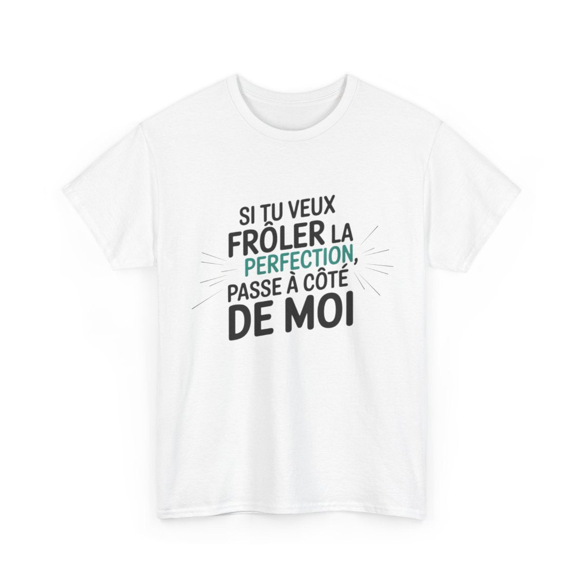 T shirt– "Si tu veux frôler la perfection, passe à côté de moi" – Blanc ou Gris – Tailles S à 3XL tee shirt humour