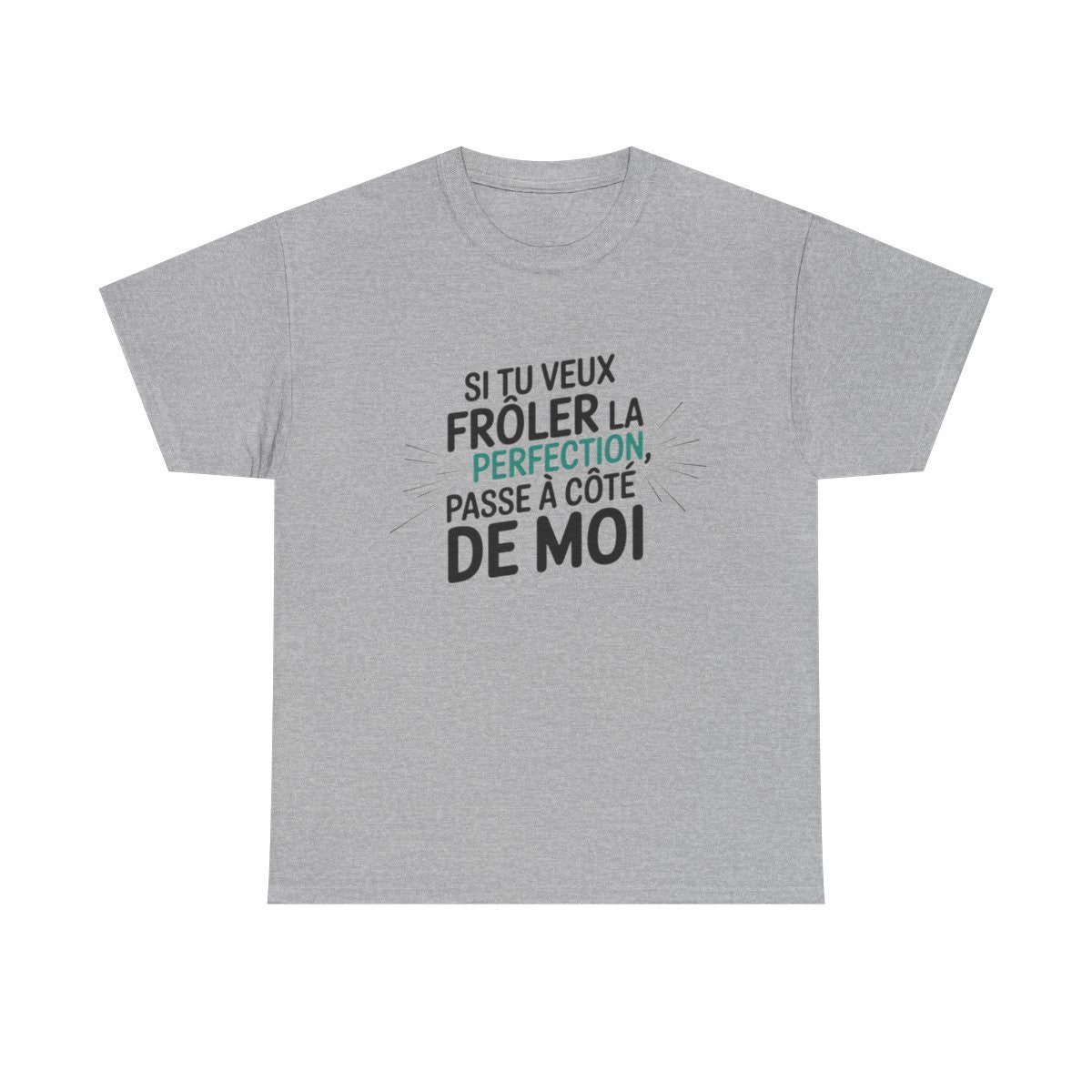 T shirt– "Si tu veux frôler la perfection, passe à côté de moi" – Blanc ou Gris – Tailles S à 3XL tee shirt humour