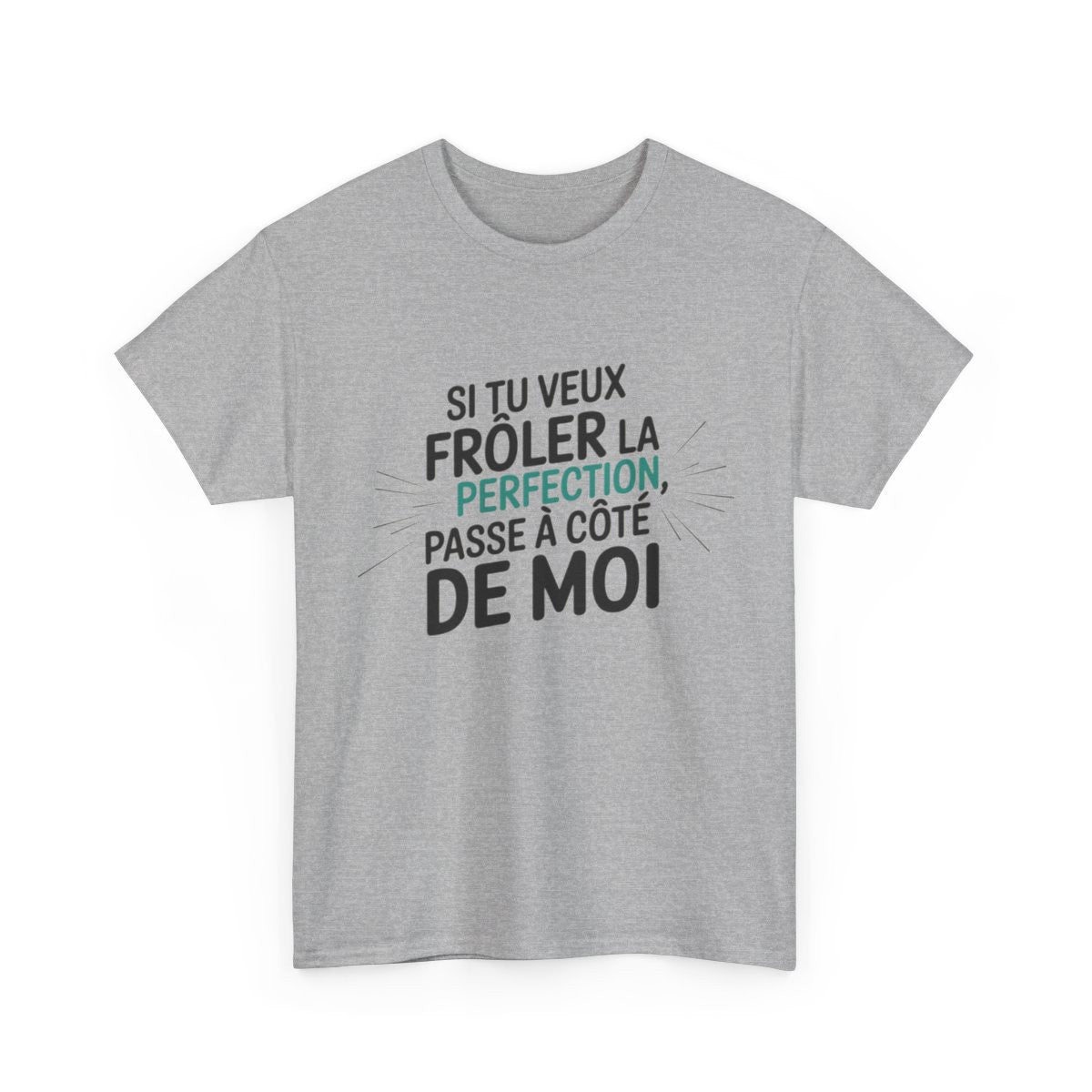 T shirt– "Si tu veux frôler la perfection, passe à côté de moi" – Blanc ou Gris – Tailles S à 3XL tee shirt humour