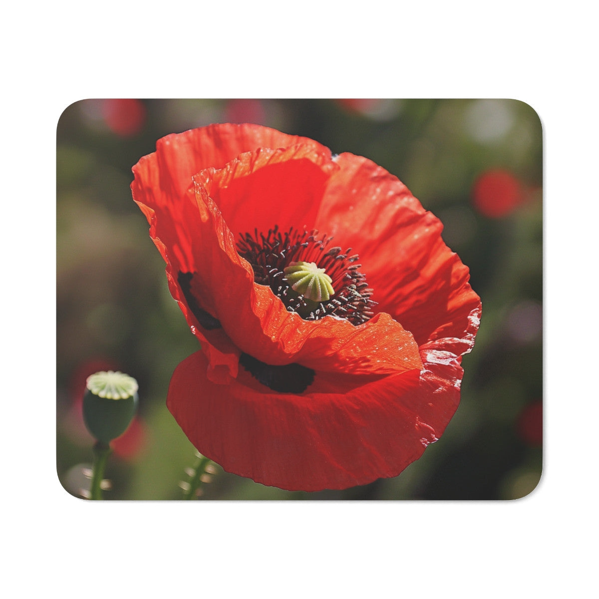 Tapis de Souris Coquelicot Rouge Fleur Sauvage  Ambiance Champêtre et Naturelle Accessoire Bureau Élégant et Floral