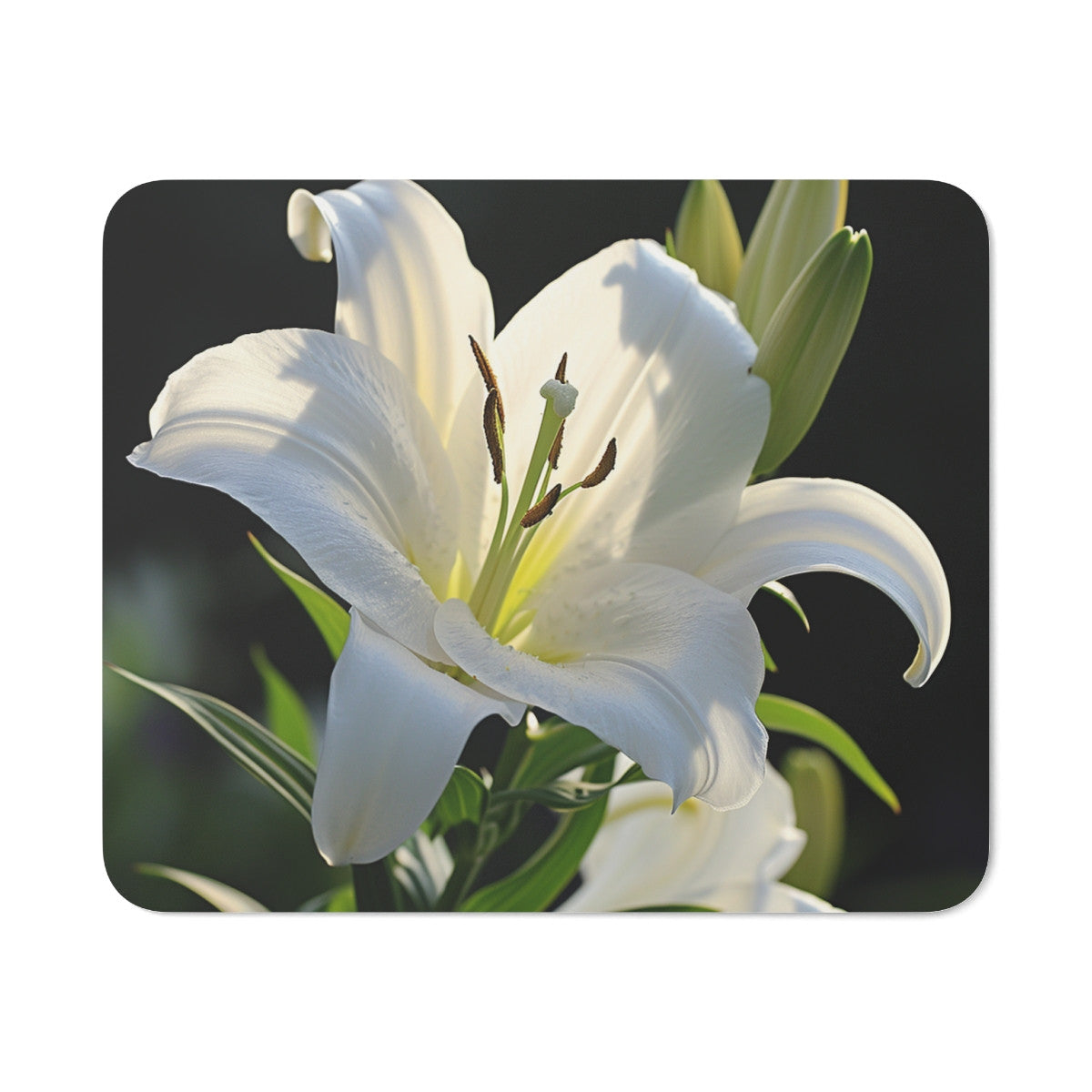 Tapis de Souris Lys Blanc Élégant Fleur Pure en Lumière  Zen et Raffinée Accessoire Bureau Floral et Délicat