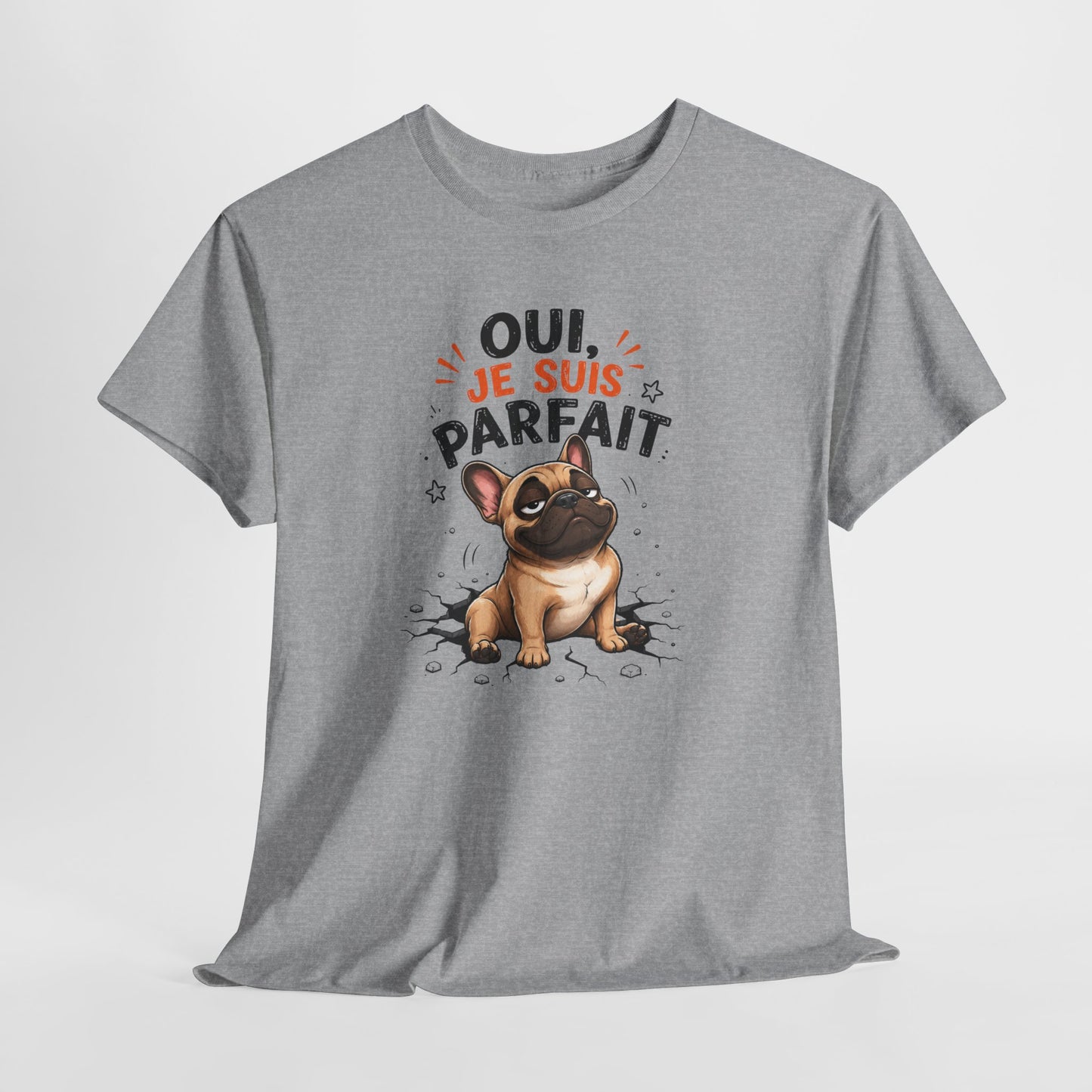 Tee-Shirt Homme Humour Chien Bouledogue Français – Idée Cadeau Drôle Original Homme – Vêtement Humoristique Amoureux des Chiens Anniversaire
