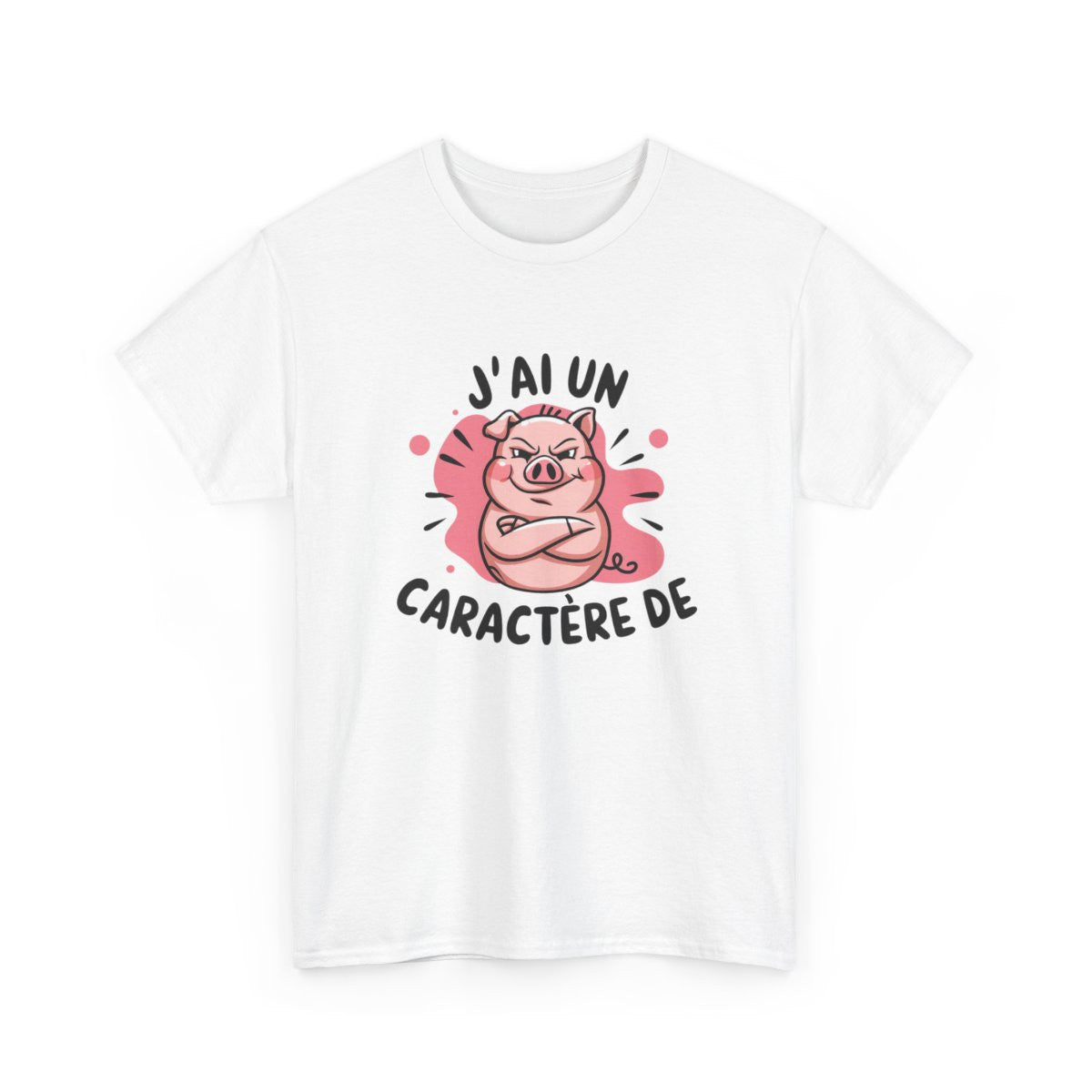 T-shirt Humour Cochon – "J’ai Un Caractère de…" – Tee-Shirt Fort Tempérament Drôle Blanc Gris Unisexe
