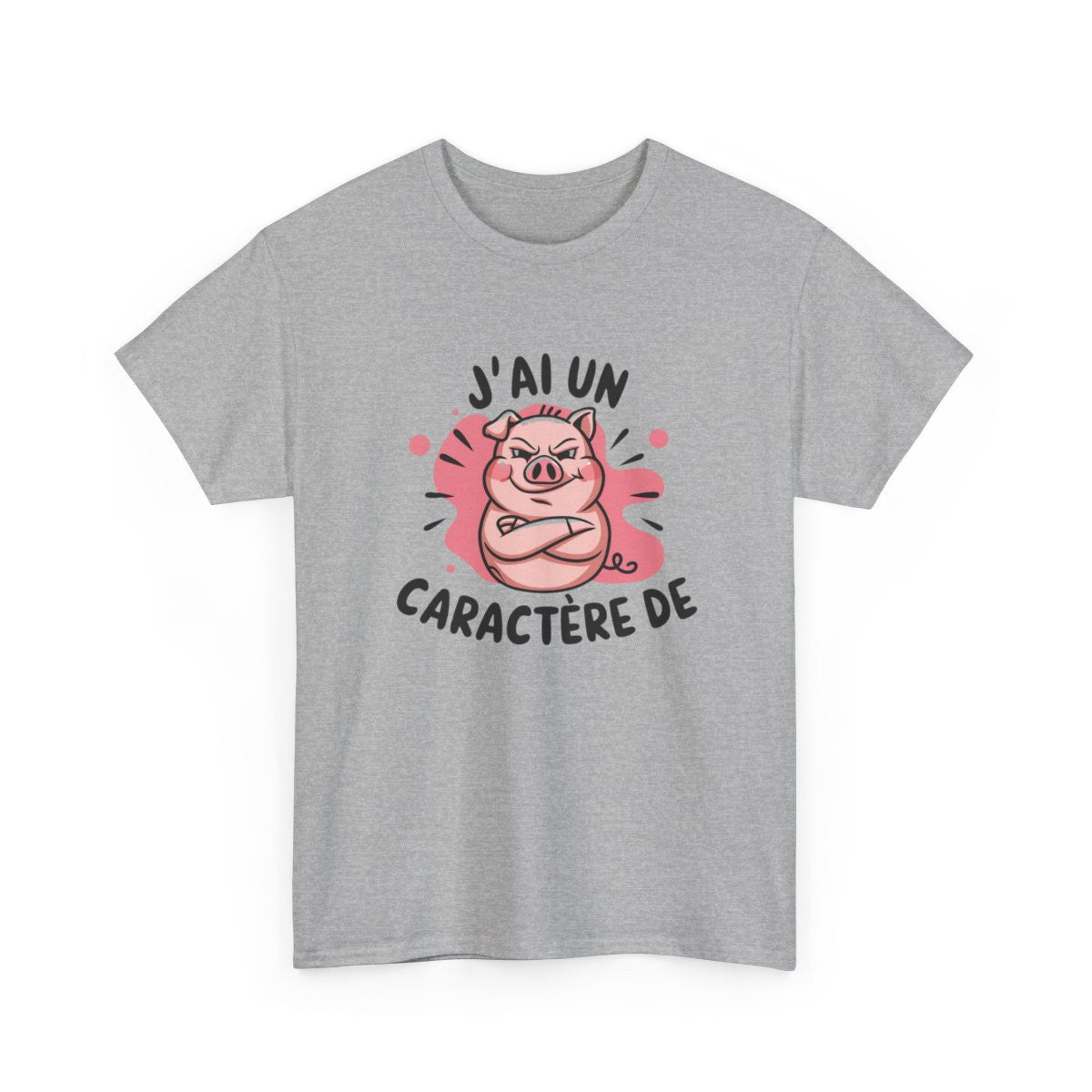 T-shirt Humour Cochon – "J’ai Un Caractère de…" – Tee-Shirt Fort Tempérament Drôle Blanc Gris Unisexe
