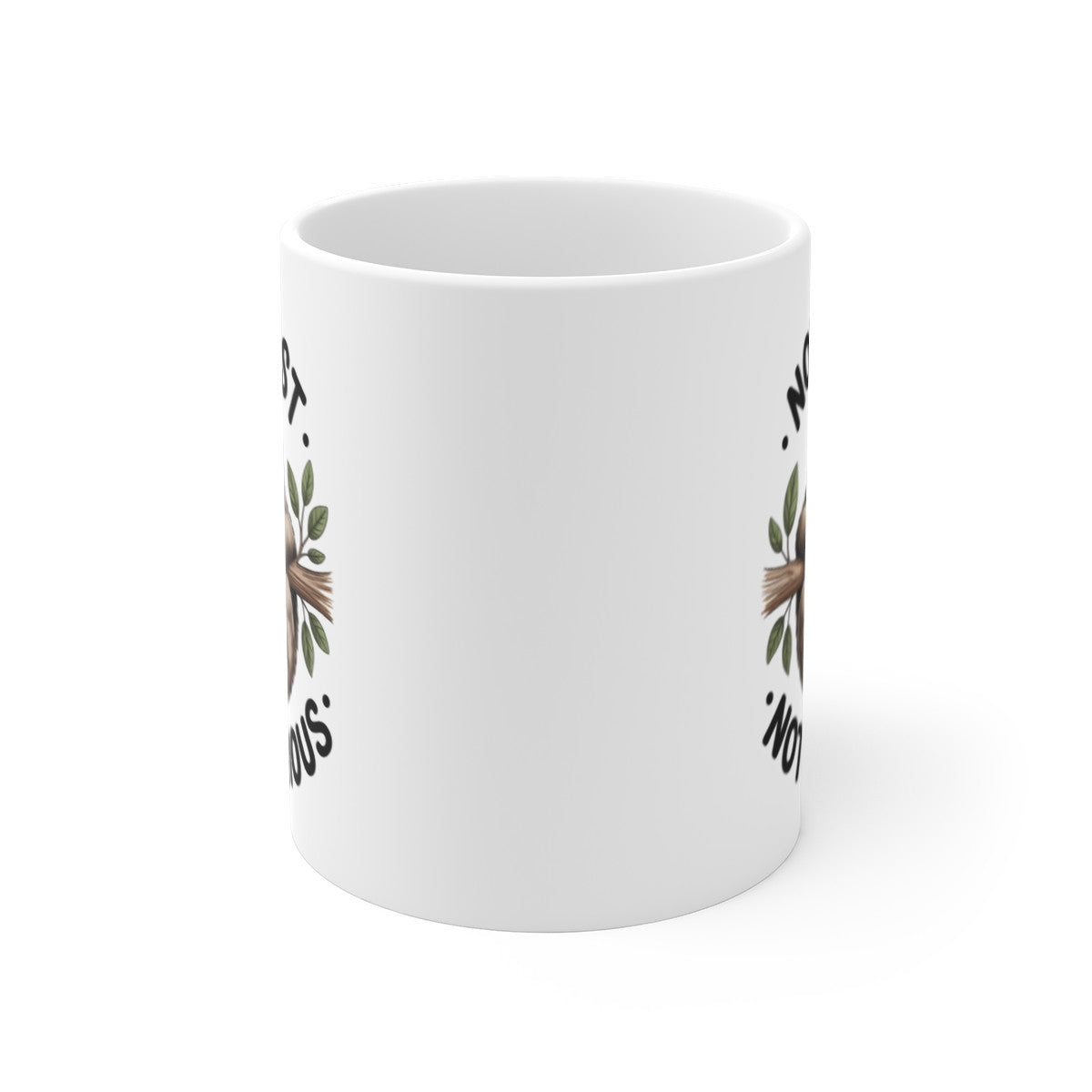Tasse Paresseux Humour – Mug Not Fast Not Furious – Cadeau Animal Drôle 325ml